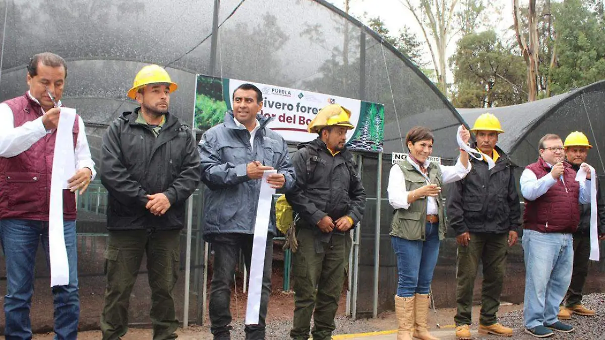 El vivero aperturado en el Parque Flor del Bosque fue construido con una inversión de cinco millones de pesos